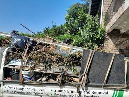 Best Basement Cleanout in Frederic, WI